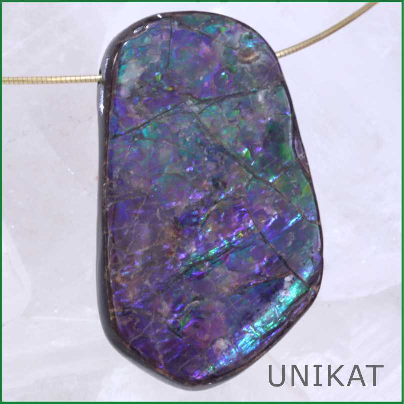 Ammolith Anhänger - Korit - Unikat 01