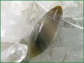Anhänger in Navetteform - Achat natur