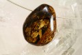 bronzit_017