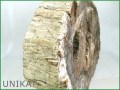 Versteinertes Holz - Platte - 19 kg